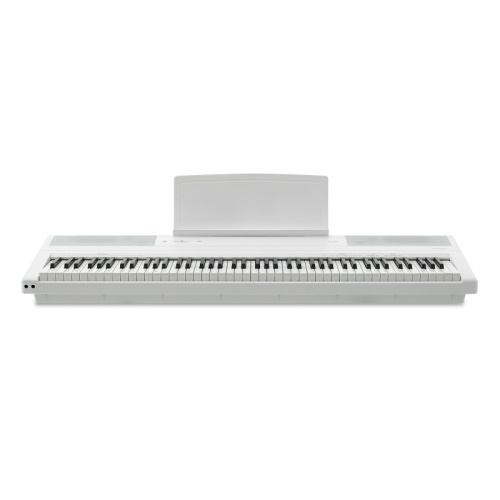 Emotive Hammerpiano 1 W