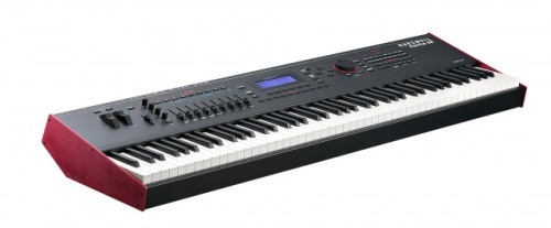 Kurzweil Forte SE фото 2