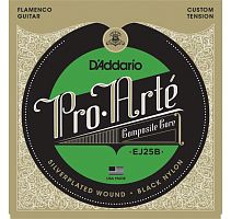 D`ADDARIO EJ25B Flamenco